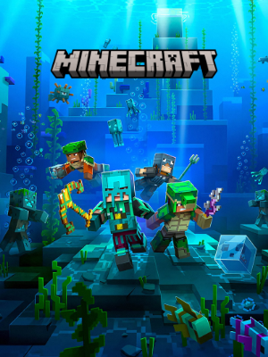 Gambar Minecraft Hosting
